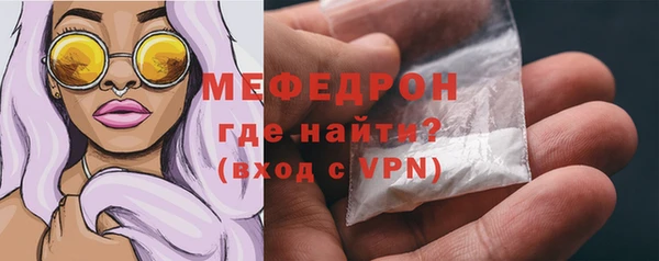 мет Ельня