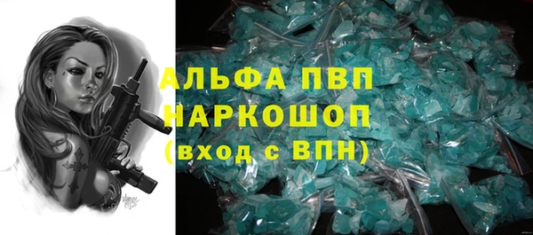 мет Ельня