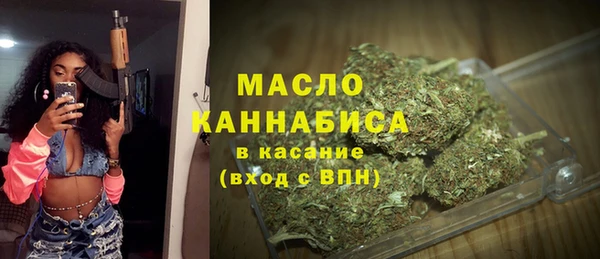 мет Ельня
