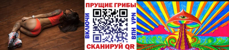 Псилоцибиновые грибы Psilocybe  Купить где  Кимры 